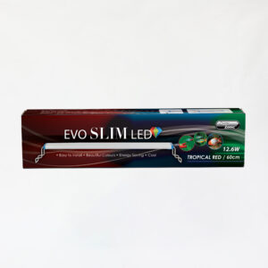 EVO SLIM LED [TROPICAL RED]