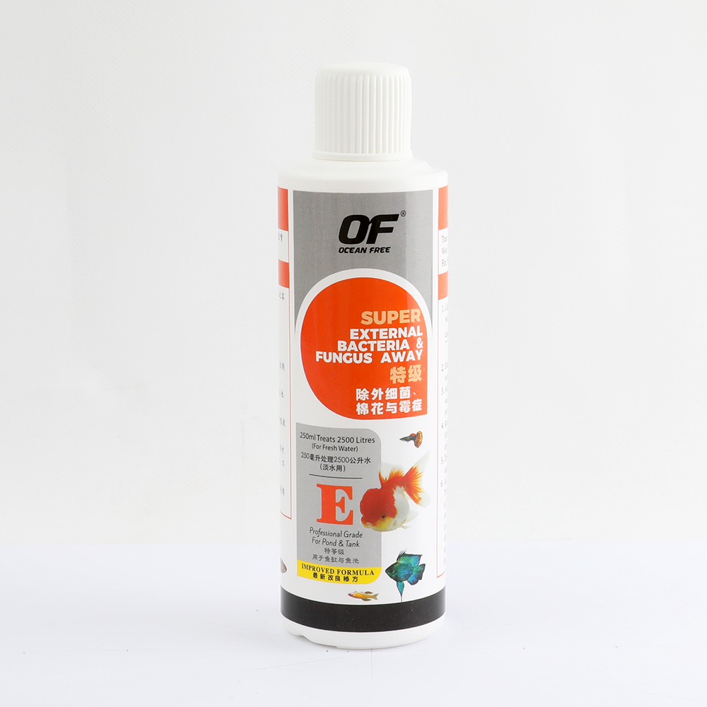 E250ML_005