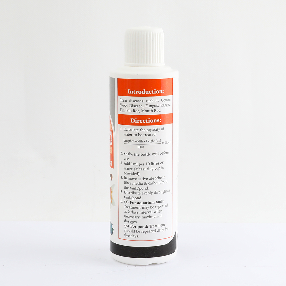 E250ML_006