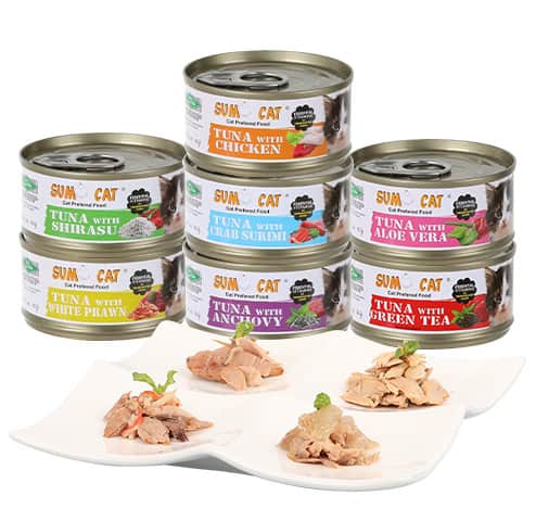 SC Can Food 80g