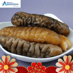 FROZEN SEA CUCUMBER (PER PCS 600GM & ABOVE )[SFSCS02]
